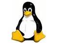 Linux tux Webdesign Königsbrunn on-TOPIC